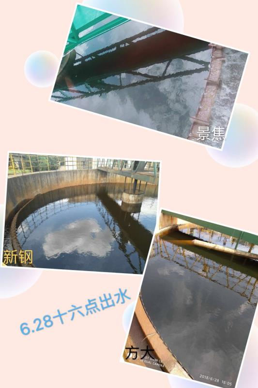 &#20048;&#40060;